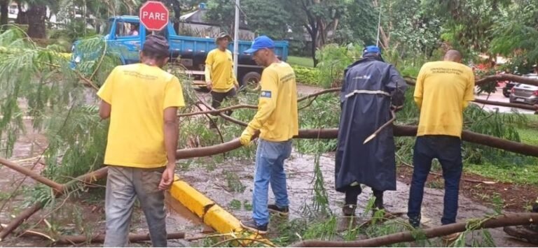 Vias do Plano Piloto passam por limpeza após a chuva