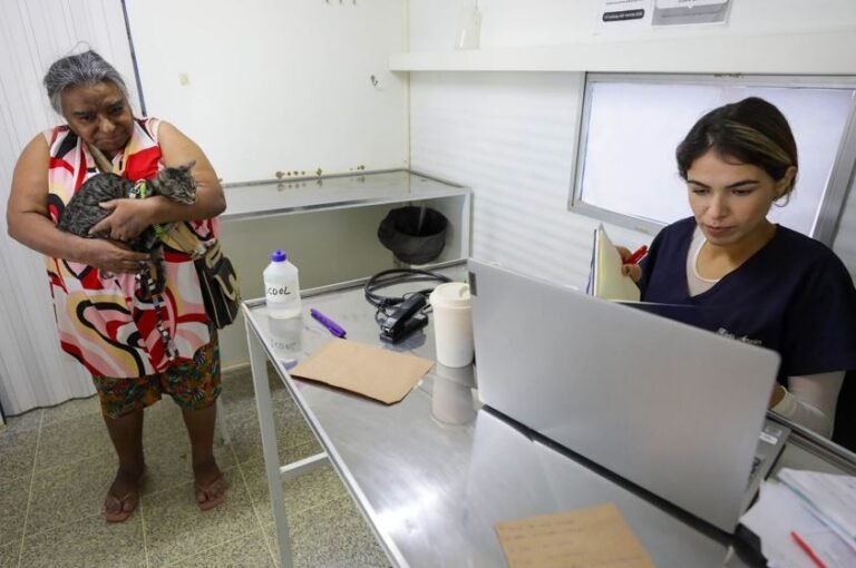 Unidade móvel do Hospital Veterinário já realizou quase 600 atendimentos em São Sebastião