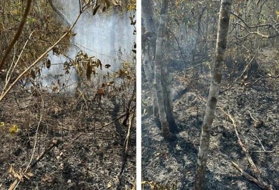 Suspeito de incêndio ambiental criminoso é detido em flagrante no Mato Grosso