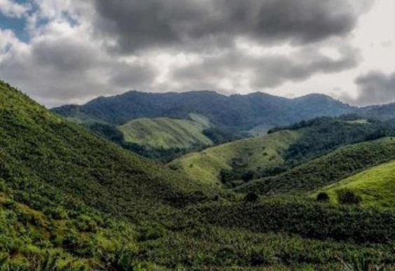 Começa hoje operação conjunta contra desmatamento da Mata Atlântica