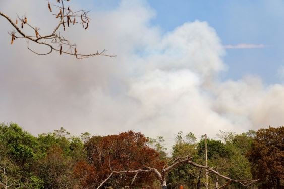 GDF investiga ação criminosa no incêndio do Parque Nacional de Brasília