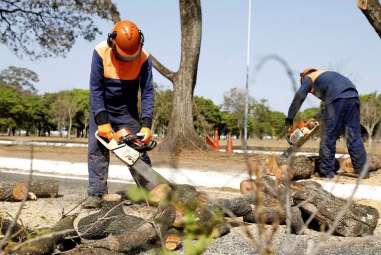 GDF retira mais de 55 mil toneladas de resíduos em 3,5 mil km da rede de drenagem