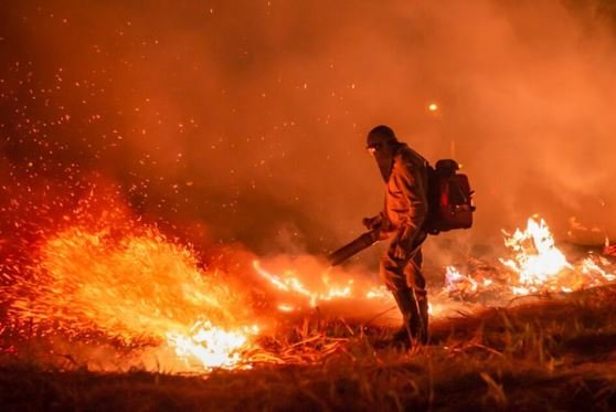 Goiás registra mais de 400 incêndios no fim de semana, dizem Bombeiros