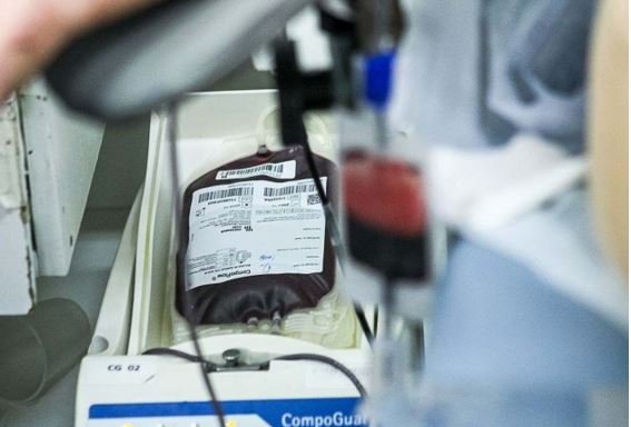 STF decide que testemunhas de Jeová podem recusar transfusão de sangue