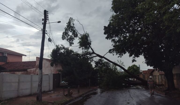 Equatorial Goiás acompanha  meteorologia para traçar planos de atuação devido as mudanças no clima