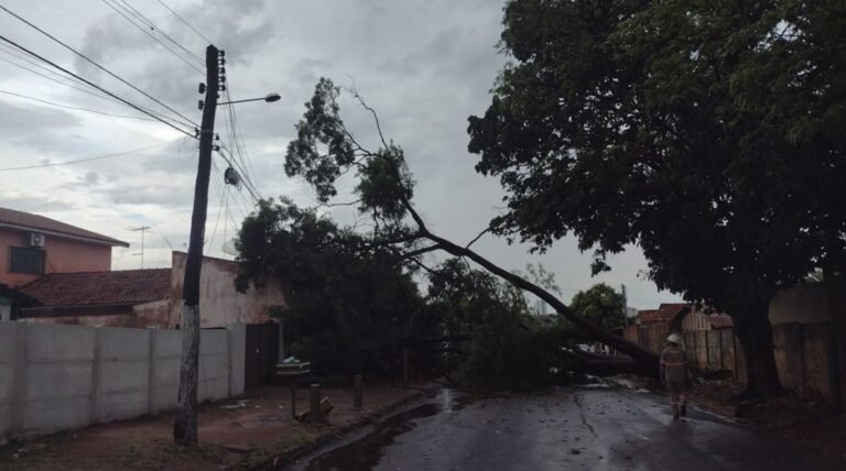 Alerta de temporal: Equatorial Goiás atenta para previsão de tempestade em mais de 200 cidades nesta sexta (8) e no final de semana