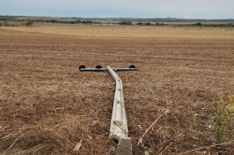 Cuidados no campo: passo a passo para segurança com eletricidade na zona rural