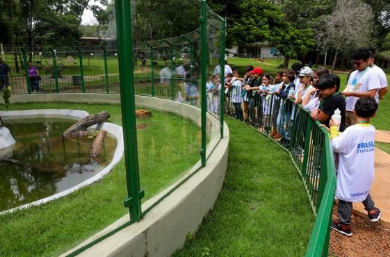 Colônia de Feras do Zoológico é opção de diversão e aprendizado para a criançada nas férias