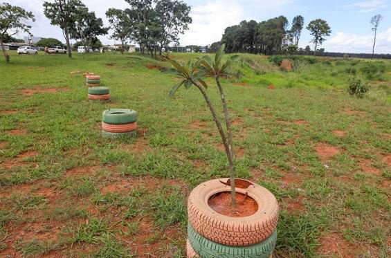 Projeto do GDF transforma áreas que eram usadas para descarte irregular