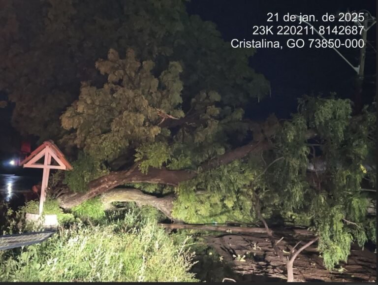 Temporal em Cristalina: Equatorial Goiás retoma fornecimento para 99% dos clientes atingidos por fortes chuvas