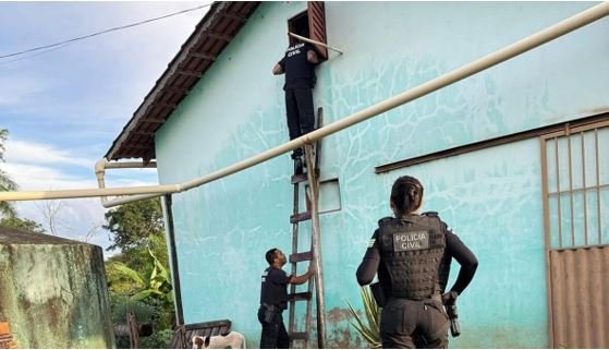 Polícia goiana apreende carne de jacaré e caititu em casa de investigado por homicídio