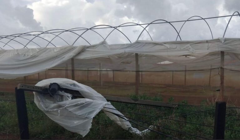 Equatorial Goiás: cerca de 30 cidades goianas estão sob alerta de temporal para o fim de semana