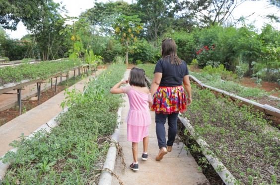 Horta comunitária tem função pedagógica e terapêutica no Centro de Ensino Especial 2