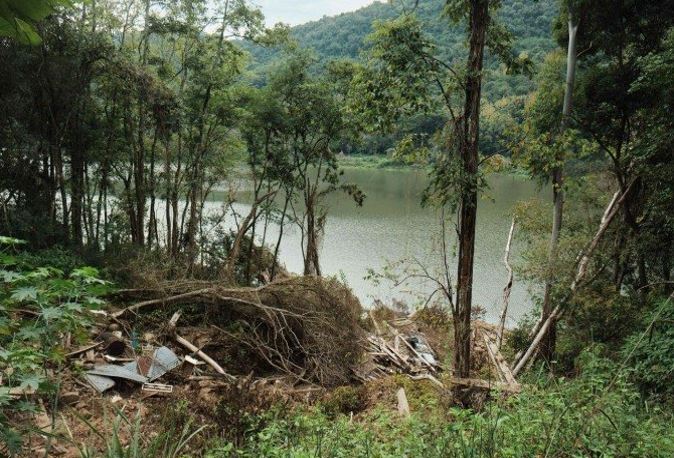 Estudo mostra que Piauí e Bahia lideram o desmatamento da Mata Atlântica
