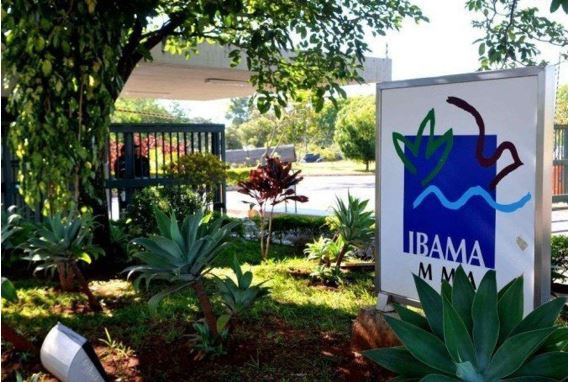 Ibama para atuar em omissão de órgão ambiental estadual