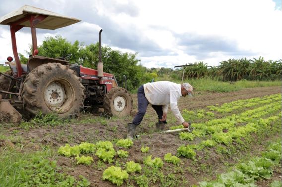 Prorrogado prazo para regularização de dívidas de produtores rurais do DF