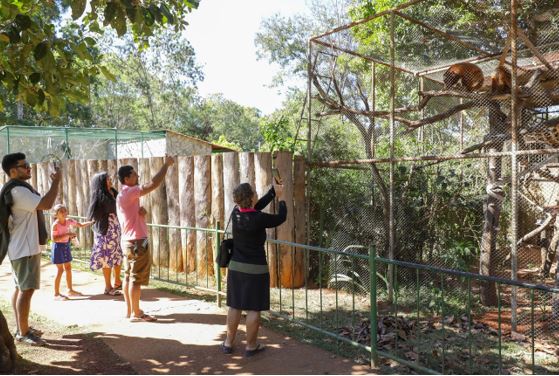 Zoológico de Brasília reabre com funcionamento diário durante o mês de julho