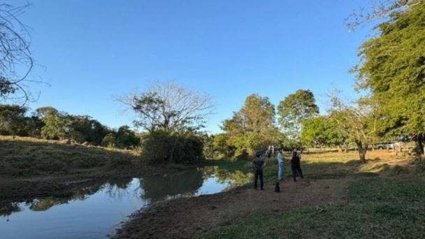Despejo irregular em córrego provoca morte de peixes em Palminópolis
