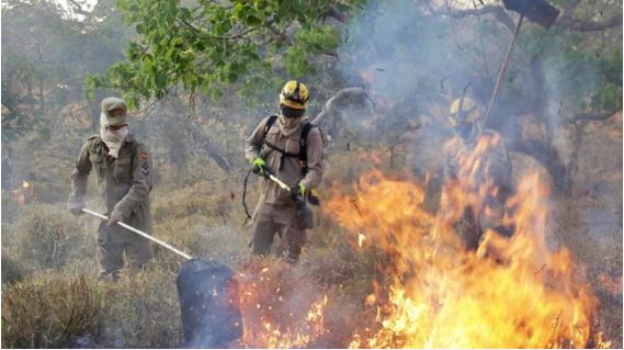 Goiás registra queda de 34% nos focos de queimada em 2025