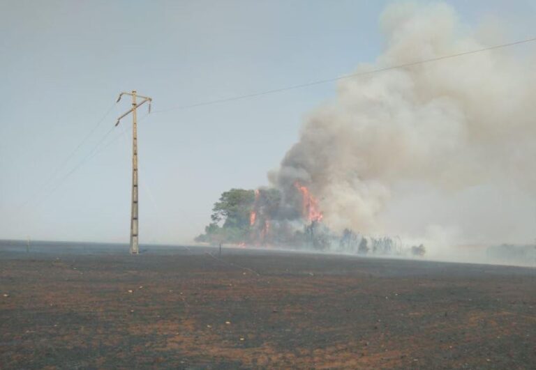 GOFumaça e fuligem das queimadas: risco à rede elétrica antes mesmo do fogo