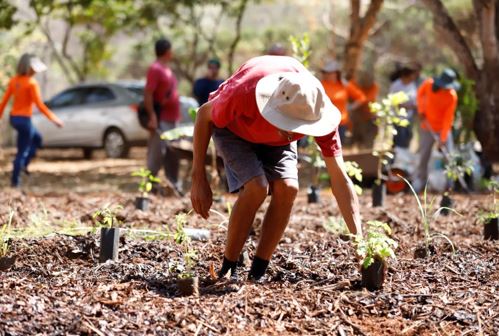 Horto agroflorestal do Caps II do Riacho Fundo é inaugurado
