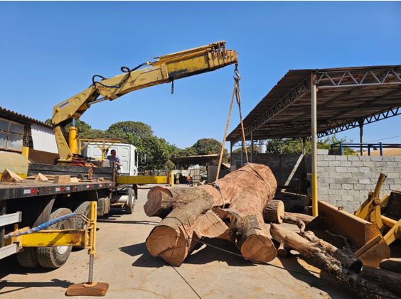 Servidores transformam pedaços de troncos em peças únicas em marcenaria da Novacap
