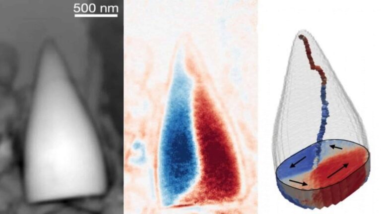 Fosseis-com-o-GPS-biologico-scaled-1