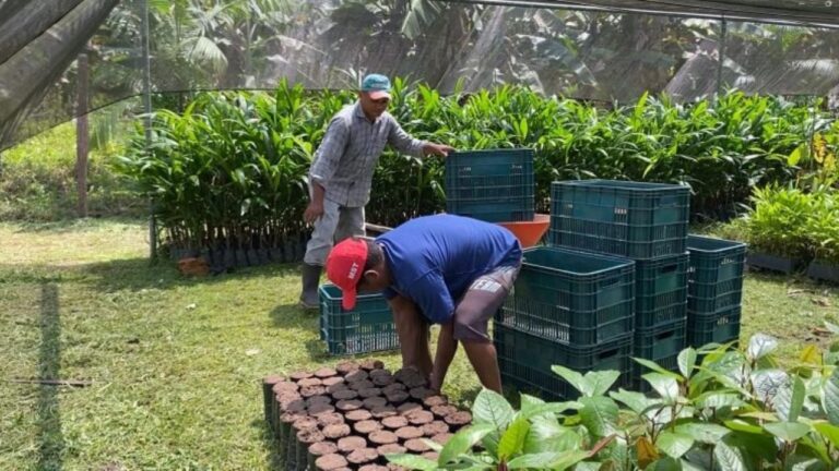 f1280x720-162214_293889_5050-1