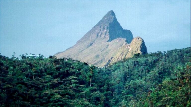 f1280x720-163066_294741_575