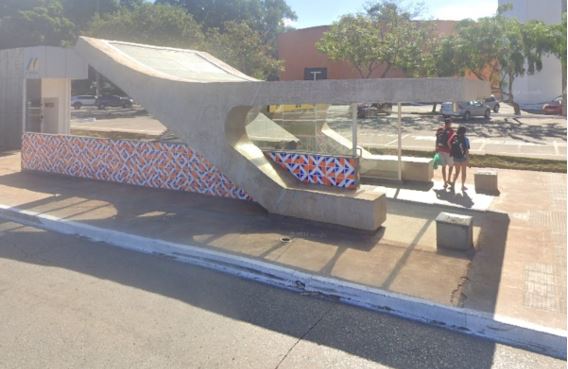 Ataque de abelhas deixa duas pessoas feridas na Asa Sul