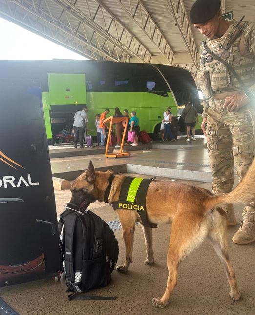 Cães de policiamento participam de ação na Rodoviária do Plano Piloto