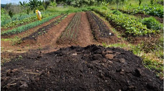 CMN amplia socorro a produtores afetados pelo clima