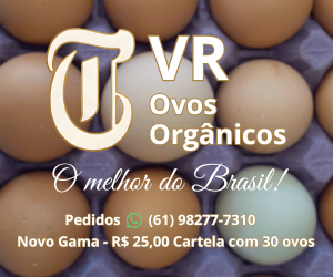 VR Ovos Orgânicos - CSM