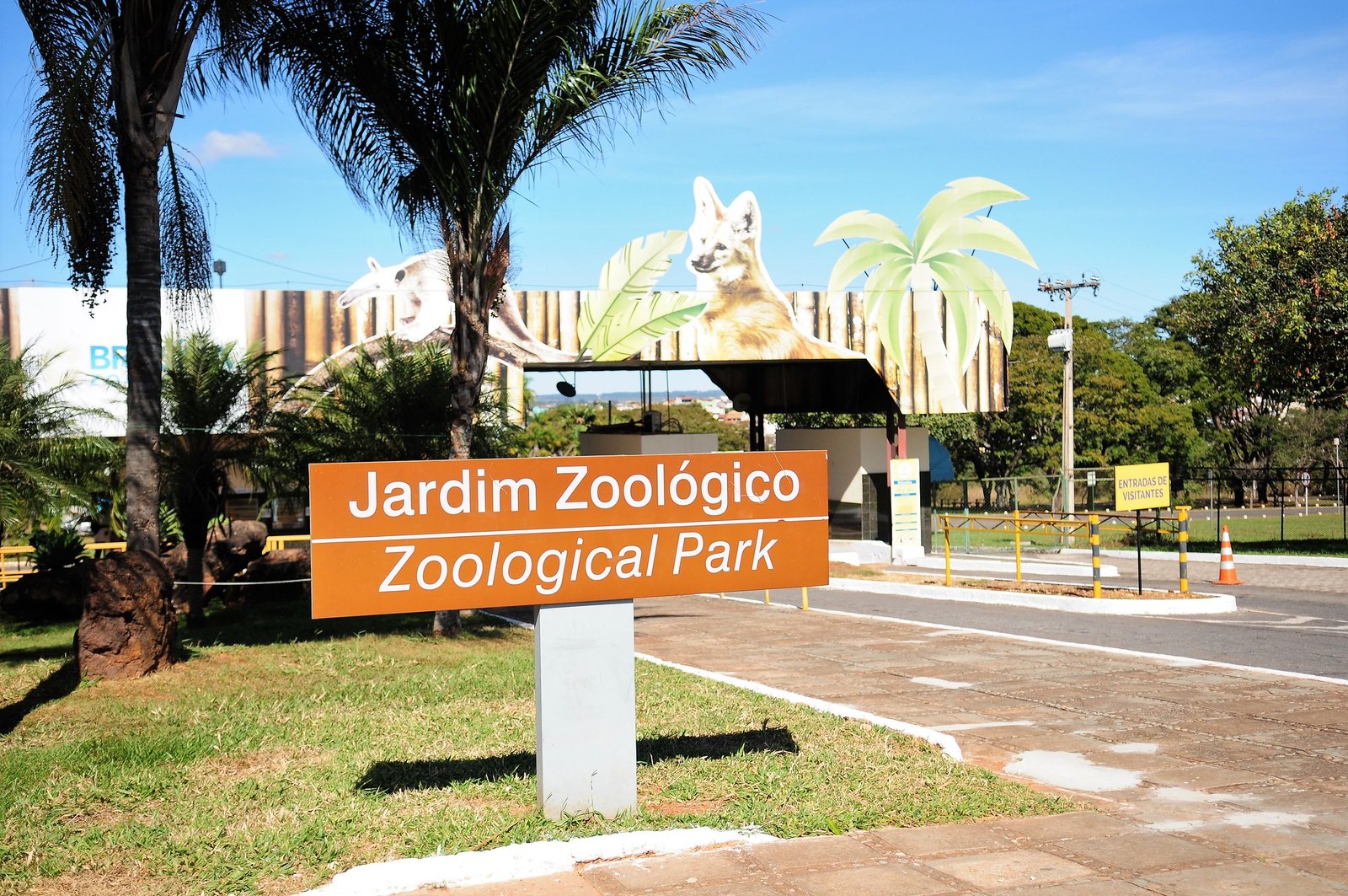 Zoológico de Brasília fecha no domingo, dia do 2º turno das eleições
