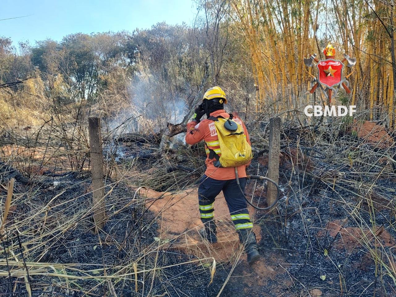 Bombeiros registram 12 incêndios em vegetação no DF no domingo (18)