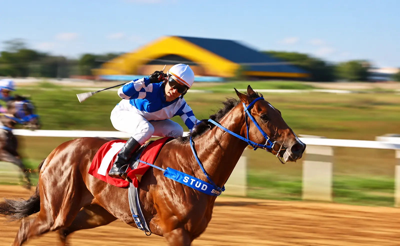 Corridas de cavalos gratuitas marcam aniversário de Goiânia