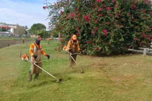 O bônus de até 1,7 mil por mês considera a área de gramado roçada por cada equipe e o resultado geral da companhia (Foto: Luciano Magalhães/Comurg)
