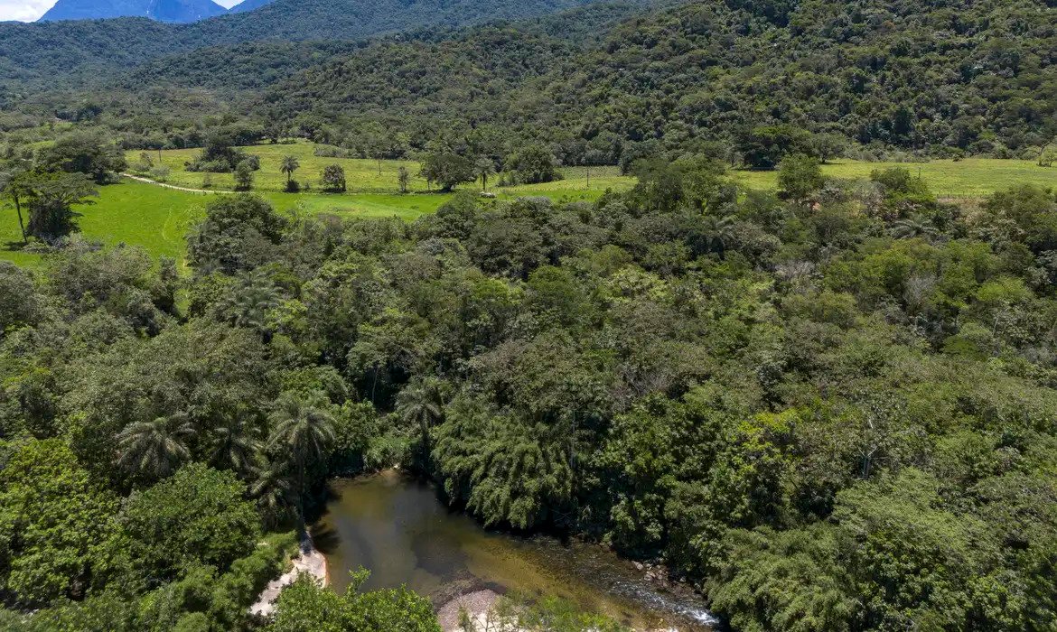 Brasil diminui em 43% área de vegetação nativa fragmentada