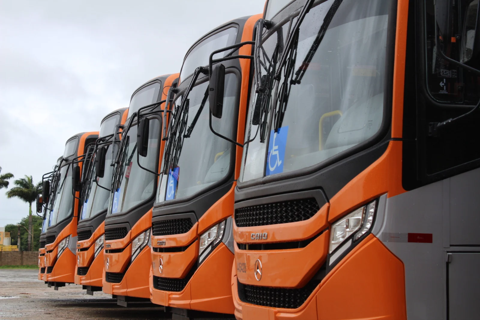 GDF aciona Justiça para recuperar 90 ônibus da Marechal apreendidos por dívida