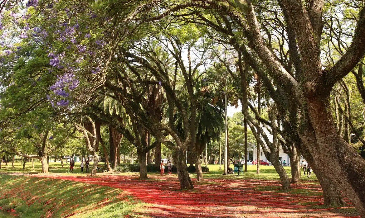 Homem morre após passar mal durante exercício físico no Parque Ibirapuera