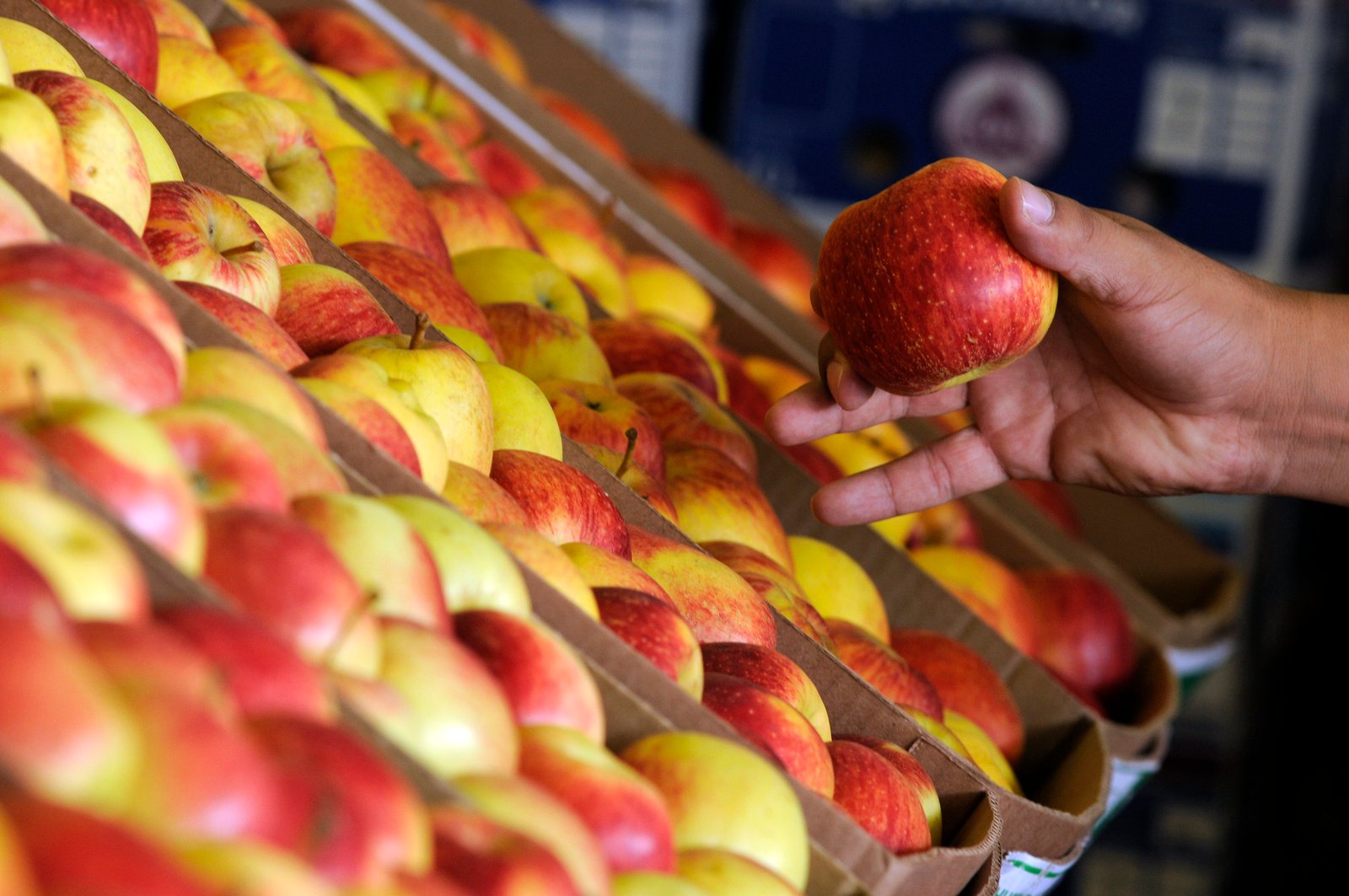 Alimentação e Bebidas registra a maior variação e impacto no IPCA-15; energia alivia
