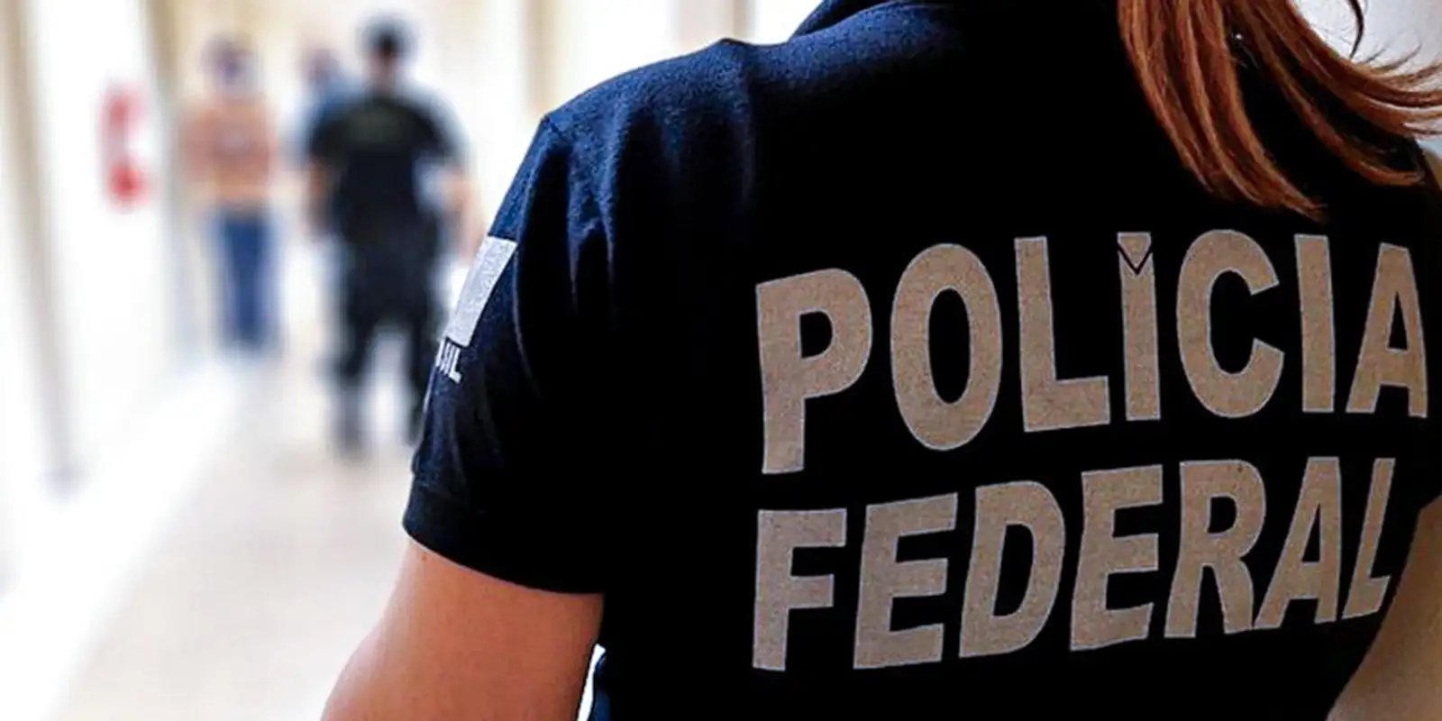 PF já apreendeu R$ 33 mi e prendeu 28 por crimes eleitorais neste ano